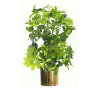 Leaf 75cm Artificial Arboricola Gold Capella Plant - Gold Metal Planter - 75cm - Green/Yellow - 65cm