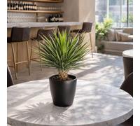 Leaf 75cm Artificial Dracaena Plant Premium in Green Leaf Green