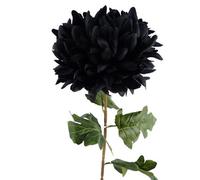 Leaf 75Cm Extra Large Reflex Chrysanthemum - Black