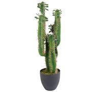 Leaf 75Cm Premium Artificial Cactus With Pot