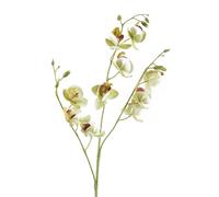Leaf 80cm Cream Artificial Mini Orchid Stem in White Leaf White