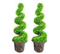 Leaf 90Cm Pair Of Green Large Botanik Spiral Topiary Trees With Decorative Planters
