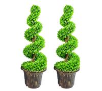Leaf 90cm Pair of Green Large Spiral Topiary Trees with Decorative Planters Leaf Green