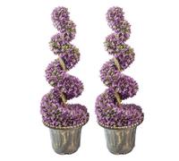 Leaf 90Cm Pair Of Purple Large Botanik Spiral Topiary Trees With Decorative Planters