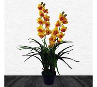 Leaf 90cm Yellow Flower Orchid Plant