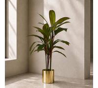 Leaf Artificial 100cm Potted Dracaena Tropical Plant with Gold Planter in Green Leaf Green