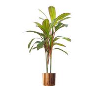 Leaf Artificial 100Cm Realistic Dracaena Tropical Plant With Copper Metal Plater