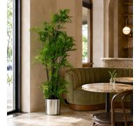 Leaf Artificial 150cm Moss Base Fern Foliage Plant with Silver Metal Plater in Green Leaf Green