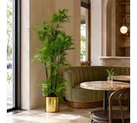 Leaf Artificial 150Cm Natural Moss Base Fern Foliage Plant With Gold Metal Planter