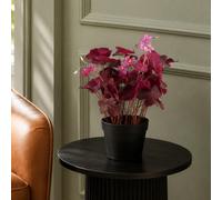 Leaf Artificial 30Cm Plant Realistic Purple Shamrock Pink Flowers Potted