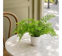 Leaf Artificial 30cm Potted Royal Fern in Green Leaf Green