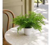Leaf Artificial 30cm Potted Southern Wood Fern in Green Leaf Green