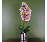 Leaf Artificial 46cm Orchid Harlequin Pink with Silver Pot Leaf Pink