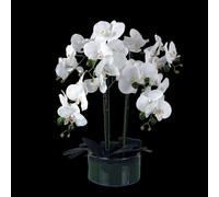 Leaf Artificial 50cm Orchid with Glass Planter White in Green Leaf Green