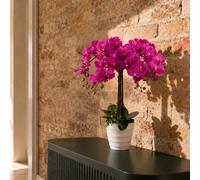 Leaf Artificial 85cm Deluxe Bush Orchid Dark Pink Leaf Dark Pink