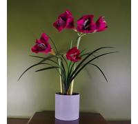 Leaf Artificial Amarylis Flowering Plant Pink