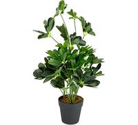 55cm Dark Green Artificial Schefflera Arboricola Plant Leaf Green One Size