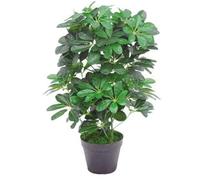 55cm Dark Green Artificial Schefflera Arboricola Plant Leaf Green One Size
