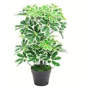Leaf Artificial Arboricola Evergreen Plant, 55cm, Dark Green Bush