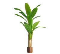 Leaf Artificial Banana Tree Tropical Plant HUGE 6ft Copper Metal Planter in Green Leaf Green