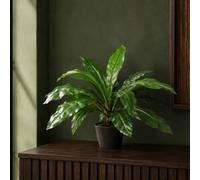 Leaf Artificial Bird Nest Fern Plastic Weighted Pot 60Cm Realistic House Plants Botanik