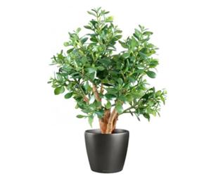 Leaf Artificial Bonsai Tree