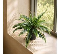 Leaf Artificial Boston Fern Plant 60cm Boston Fern in Green Leaf Green