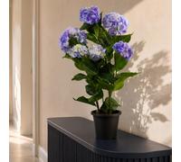 Leaf Artificial Faux Hydrangea Flowering Plant Blue Leaf Blue