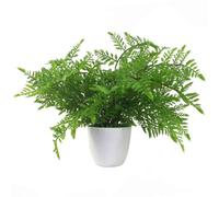 Leaf Artificial Fern Plant 30Cm Fern 30Cm In Plant Pot