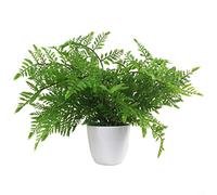 Leaf Artificial Fern Plant with Pot, 30cm