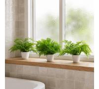 Leaf Artificial Ferns Plants Pack of 3 x 30cm Botanical Fern 30cm Potted Display Botanik in Green | Size: 3 x 30 cm Leaf Green 3 x 30 cm