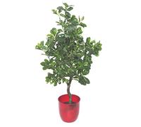 Leaf Artificial Ficus Aralia - Green, 102 cm