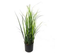 Leaf 60cm Artificial Natural Lemongrass Grass Plant - 60cm - Green - 60cm