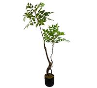 Leaf Artificial Foliage Plants Toona Sinensis