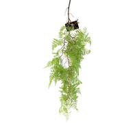 Leaf Artificial Hanging Plant 100Cm Maidenhair Fern Plant