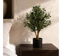 Leaf Artificial Olive Tree Black Plastic Pot 65Cm Luxury Olive 65Cm Real Wood Trunk Botanik