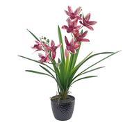 50cm Large Dark Pink Artificial Orchid in Ceramic Planter Leaf Dark Pink One Size