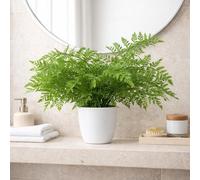 Leaf Artificial Potted Royal Fern 30cm in Green Leaf Green