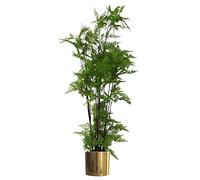 Leaf 150Cm Artificial Natural Moss Base Fern Foliage Plant With Gold Metal Planter, Green