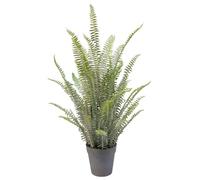 Leaf Artificial Realistic Natural Look Moss Fern in Pot
