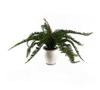 Leaf 40Cm Artificial Fern Bush In Decorative Planter, Green