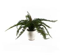 Leaf Artificial Realistic Natural Look Moss Fern in Pot,40cm