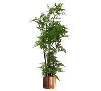 Leaf Design 150cm Artificial Natural Moss Base Fern Foliage Plant with Copper Metal Plater