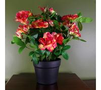 Leaf Artificial Rhododendron Flowering Plant Orange - 40cm - Orange/Pink/Yellow - 40cm Pink Rhododendron