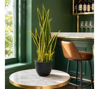 Leaf Artificial Sansevieria Tropical Snake Plant