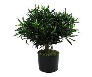 Leaf Artificial Small Bonsai Tree, Wood, 40cm Podocarpus