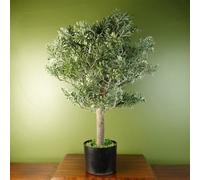 Leaf Artificial Topiary Large Boxwood Style Artemisa Plant Botanik