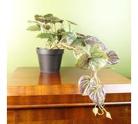 Leaf Artificial Trailing Purple Potted Pothos Plant Botanik Leaf Purple