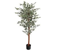 Leaf Artificial Tree/Plant, 160cm Ficus Variegated, 160 cm
