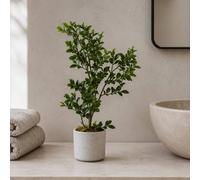Leaf Botanik 45cm Green Artificial Bonsai Tree Leaf Green